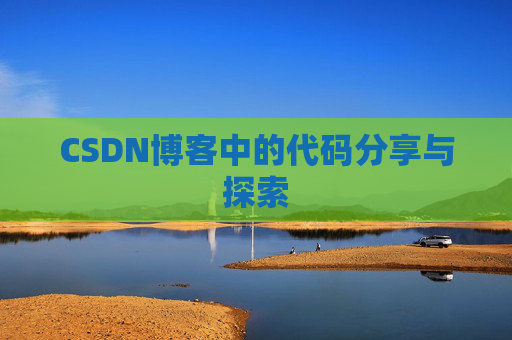 CSDN博客中的代码分享与探索
